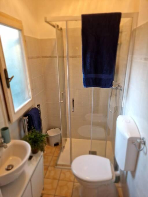 Apartament Leonardo & Elisa Figline Valdarno Zewnętrze zdjęcie